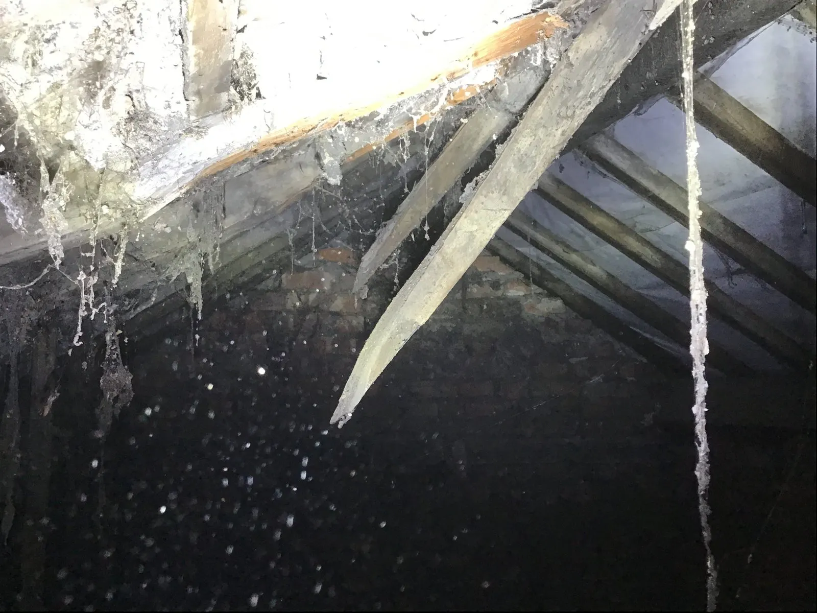 Damaged roof rafters found during a Stockport property survey